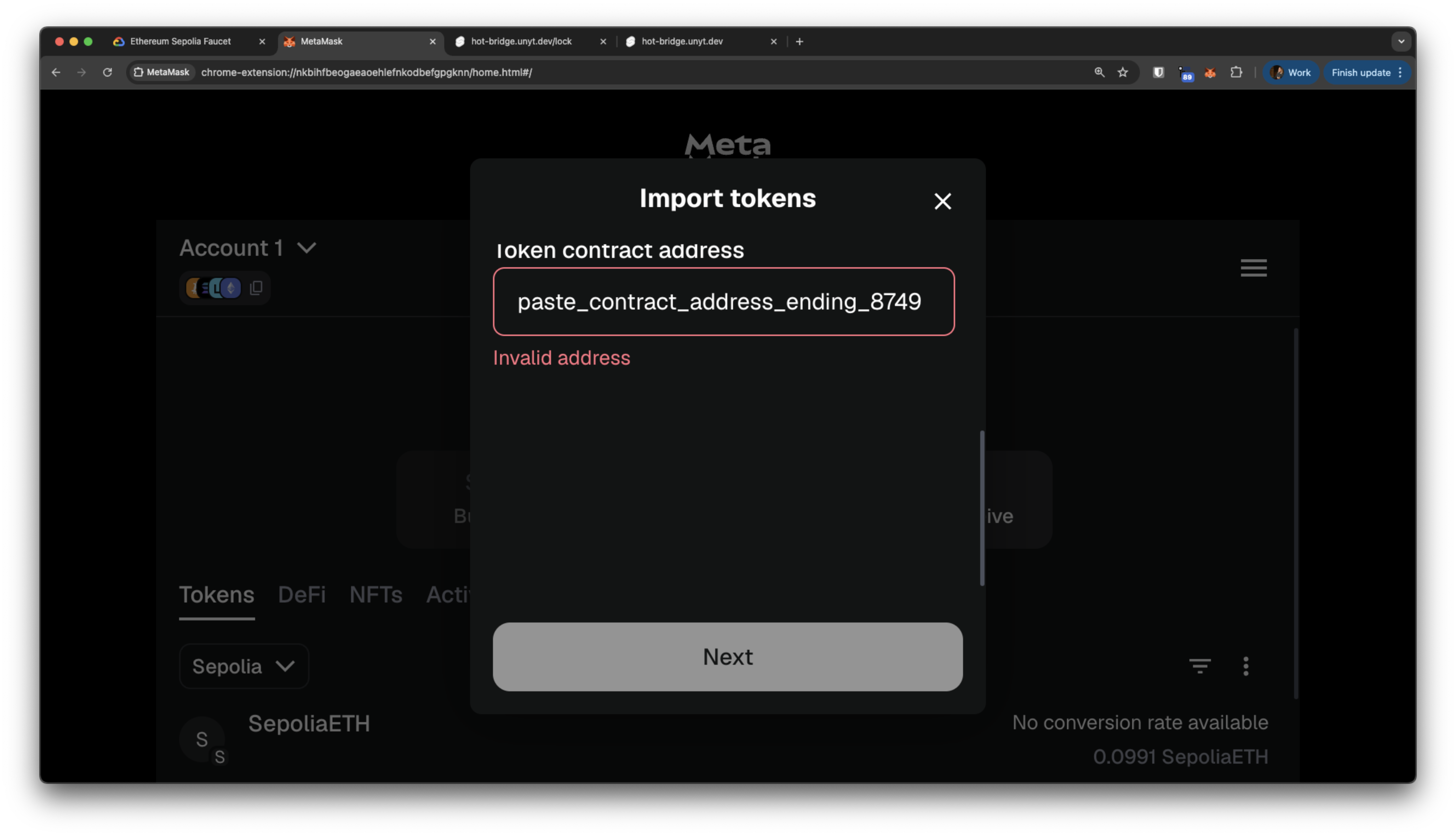 Pasting mock HOT contract address