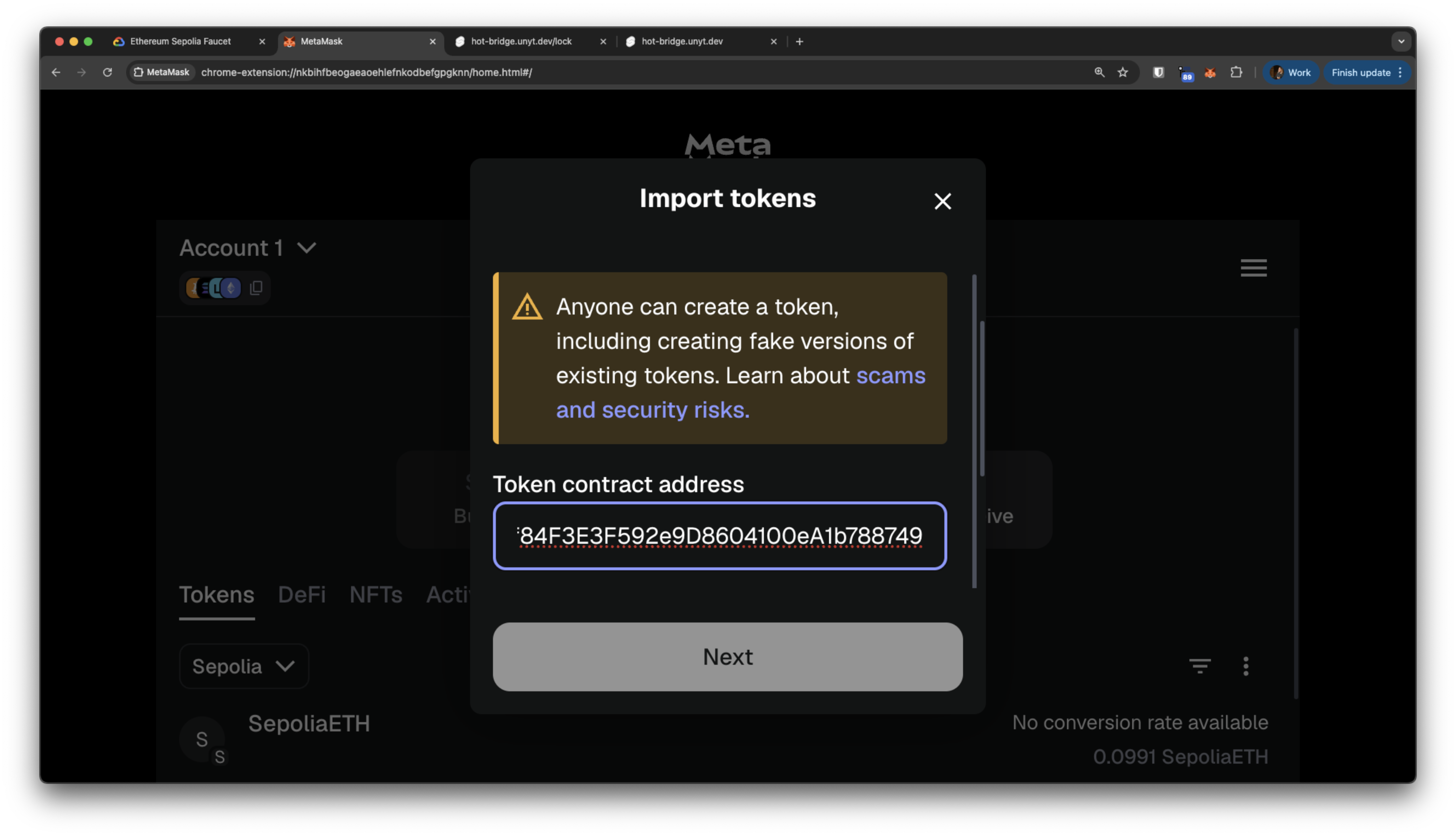 Mock HOT token imported in MetaMask